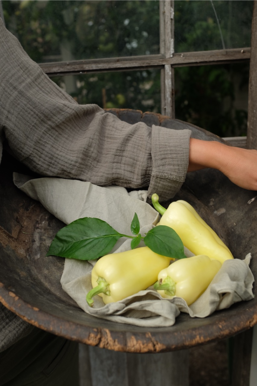 Paprika Amyka fra Nelson Garden
