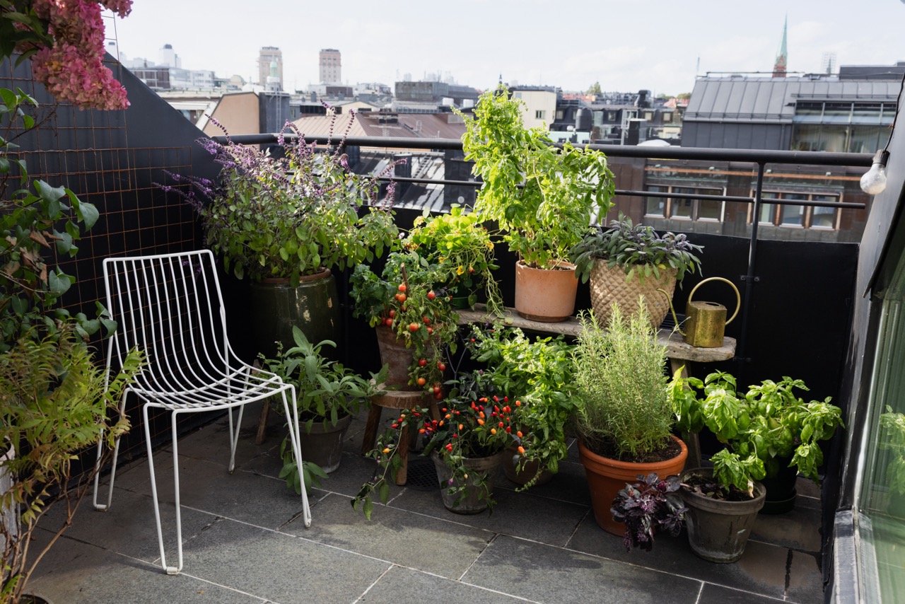 Terrasse med krukker og grønsaker